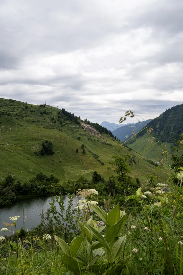 Bergsee zwischen grünen Hängen