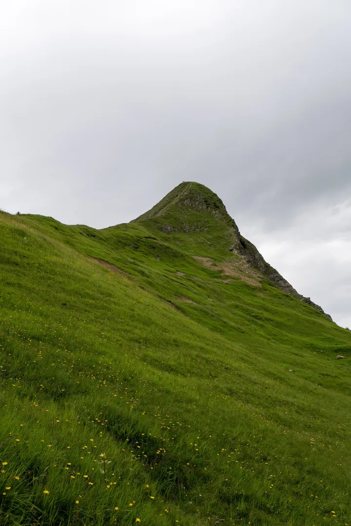 Grüner Berggipfel